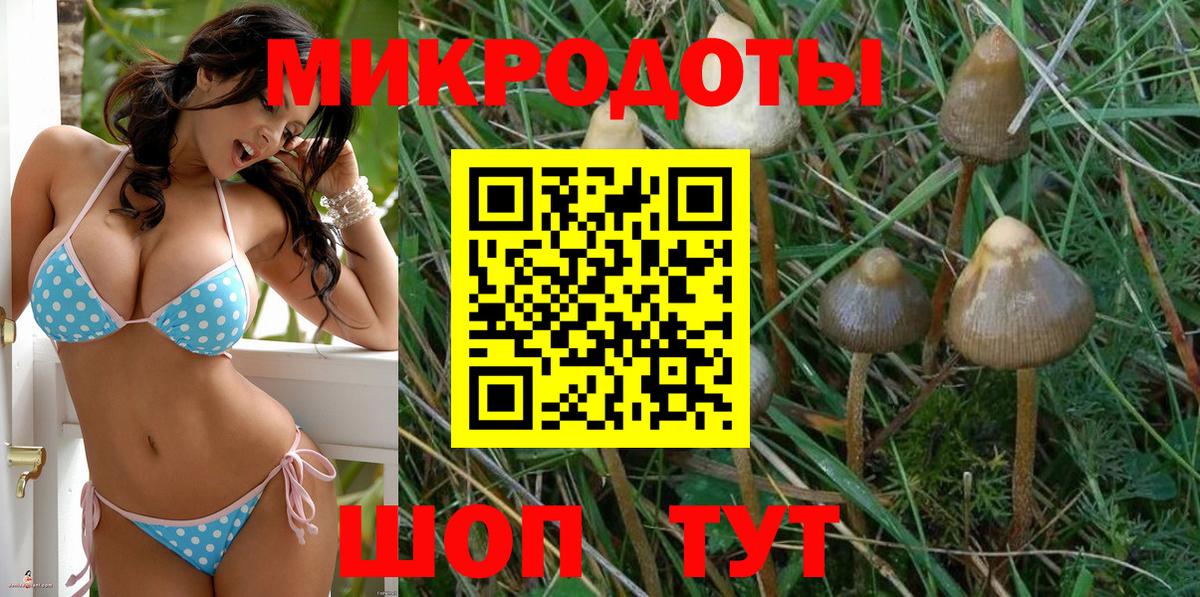 Галлюциногенные грибы Cubensis Тихорецк