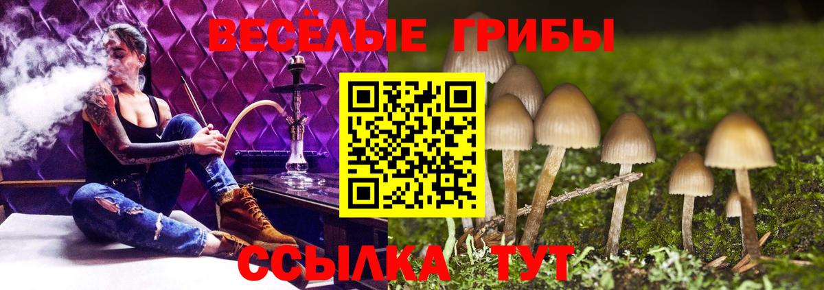 Галлюциногенные грибы мицелий  Вход с VPN  как найти закладки  Тихорецк  Галлюциногенные грибы прущие грибы 